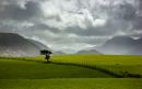 Ennerdale-1.jpg