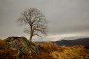 Eskdale-1.jpg