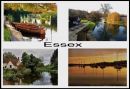 Essex_Collage.JPG