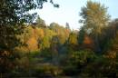 Evening-Sun.jpg
