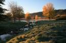 Fall-Pond-2SS.jpg