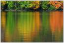 Fall_reflected.jpg