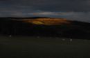 February_Evening_In_Yorkshire.jpg