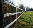 Fence1.jpg