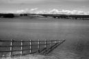 Fence1_b_wedited-2.jpg