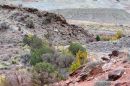 Fence_at_Arches_N_P_JRE9273_web_1000.jpg