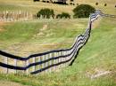 Fenceline.jpg