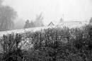 First_snow1.jpg