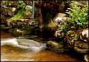 Flowing_Water.jpg