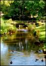 Flowing_Water_2.jpg