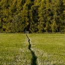Foot-path.jpg