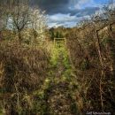 Footpath_to_a_Style-----and_Beyond.jpeg