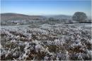 FrostyLandscape1.jpg