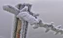 Frosty_Barb_Wire_B_Leecy.jpg