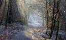 Frosty_woods_.JPG
