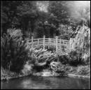 Fuji_100_acros006.jpg