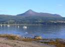GOAT_FELL_FROM_BRODICK.jpg