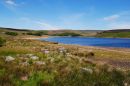 GRIMWITH_RESERVOIR_29.jpg