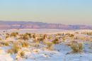 Golden_Light_on_White_Sands_tmb.jpg