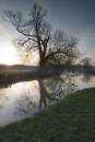 Grantchester-tree-sunrise.jpg