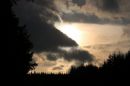Greystoke_Forest_13-12-2018.jpg