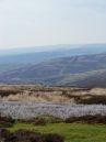 Grinton-Moor.jpg