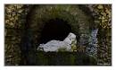 Grotto.jpg