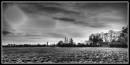 Hadlow_Farm_B_W.jpg