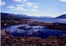 Hardangervidda.jpg