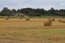 Harvest_Time1.jpg