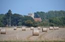 Harvest_Time2.jpg