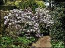 Hidcote_Manor1.jpg