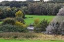 High_Woods_Country_Park.jpg