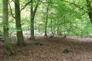 Highwoods_1.jpg