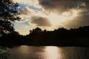 Highwoods_Essex.JPG