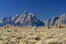 Horses_Grazing_below_the_Tetons_ARC_0829_web1000.jpg