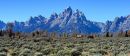 Horses_under_the_Tetons_ARC_0823_2_web1000.jpg