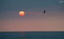 IMG_0017kk.jpg