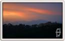 IMG_0080.jpg