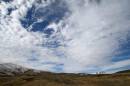 IMG_0085w.jpg