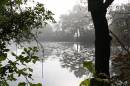 IMG_0123fulls.jpg
