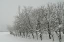 IMG_0133b.jpg