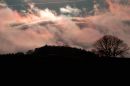 IMG_0230_edited-1.jpg