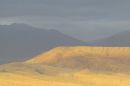 IMG_0258a.jpg