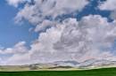 IMG_0276aa.jpg