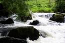 /gallery/data/2/thumbs/IMG_03241.JPG