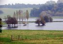 IMG_0369_edited-1.jpg