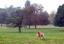 IMG_0376_edited-1.jpg