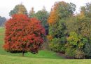 IMG_0378_edited-1.jpg