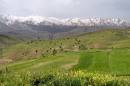 IMG_0440ab.jpg